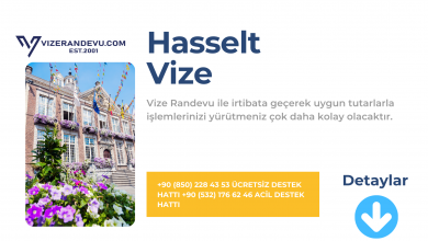 Hasselt Vize