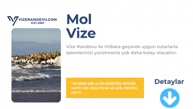 Mol Vize